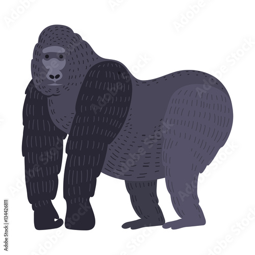 Gorila monkey rare animal vector.