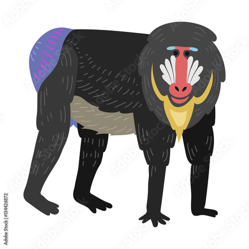 Macaque monkey rare animal vector.