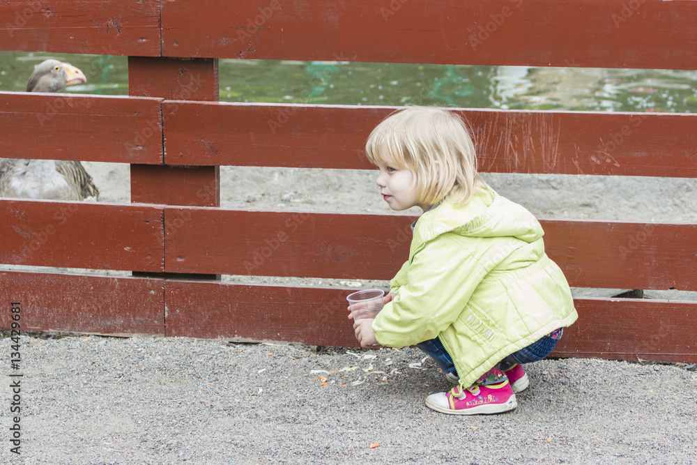 girl in a yellow jacket feeding animals and birds girl in a yellow jacket feeding animals and birds