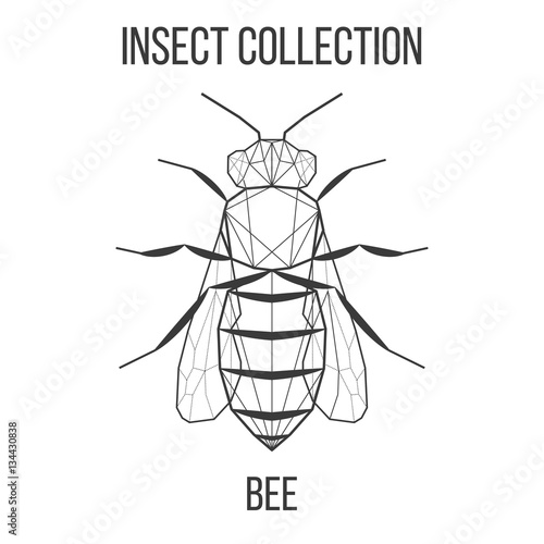 Bee insect geometric lines silhouette isolated on white background vintage vector design element illustration