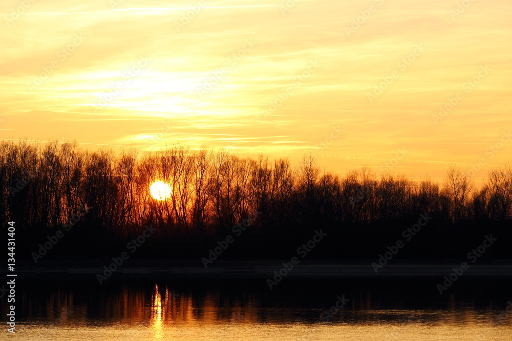 Obraz premium Silhouettes of trees on the river bank at sunset. Beautiful landscape showing sunrise over river on clear winter day.