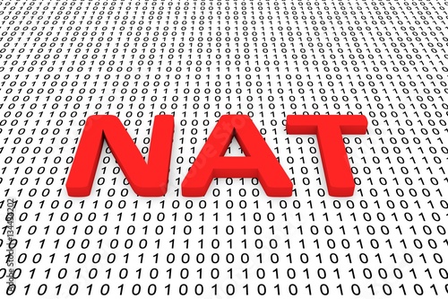 nat in the form of binary code, 3D illustration