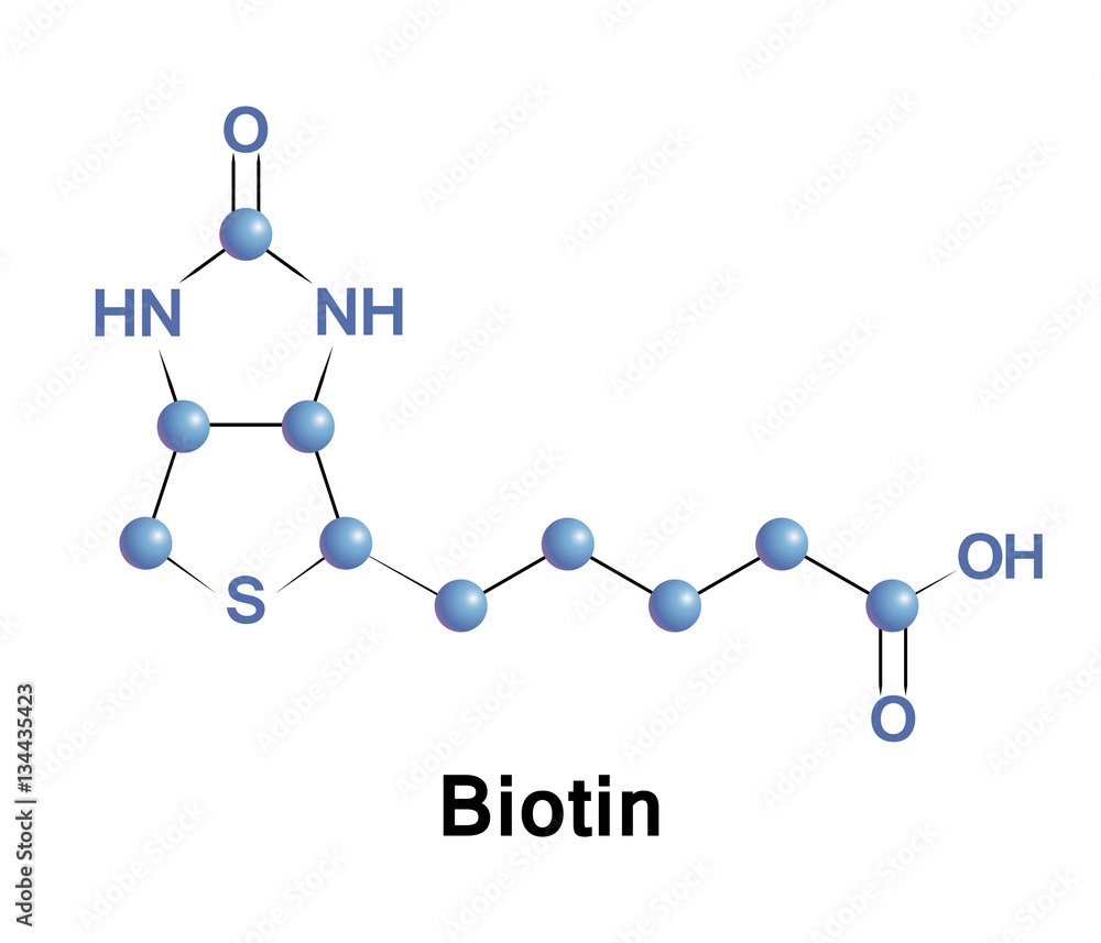 Vitamin B7 Structure