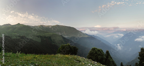 panorama landscape with alpine meadow and forest in the mountains, Abkhazia Western Caucasus. © EdNurg