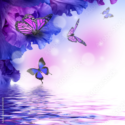 Amazing butterfly fairy of flowers, hydrangeas and iris.