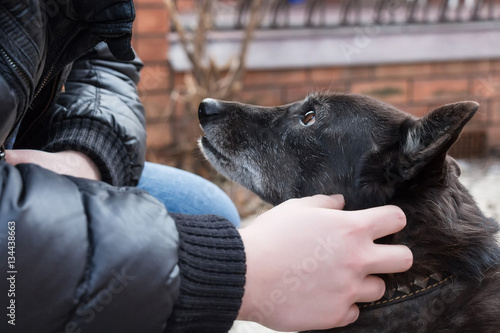 Foto Dog and its owner
