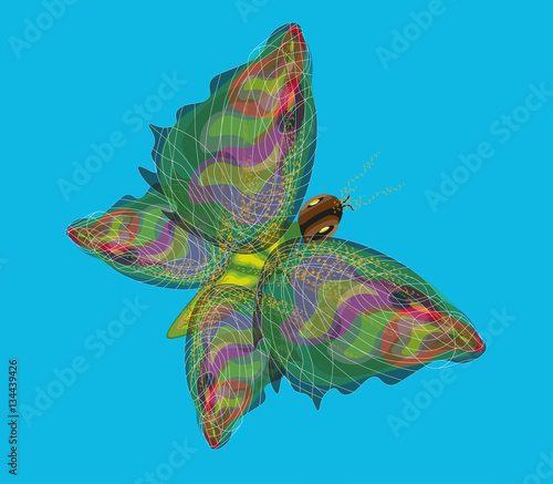 Vector illustration with a colorful elegant butterfly on the blue background © Elena Khomyakova