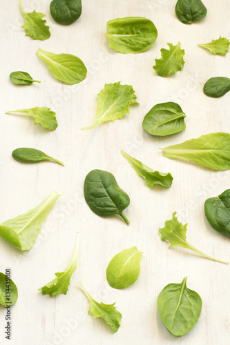 Fototapeta Naklejka Na Ścianę i Meble -  Young spring salad mix with the lettuce and spinach on a white wooden background