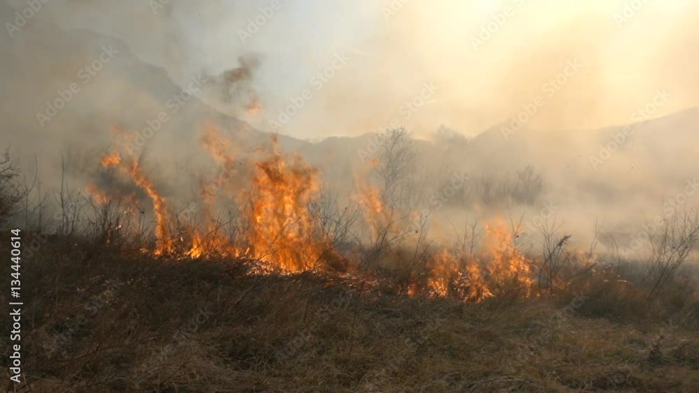 Fire and Smoke, dry grass is burning