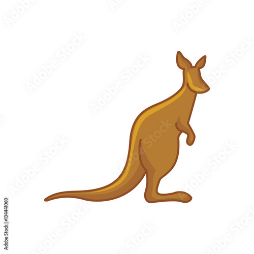 cangaroo icon illustration