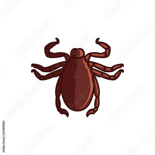 beetle icon illustration © HN Works