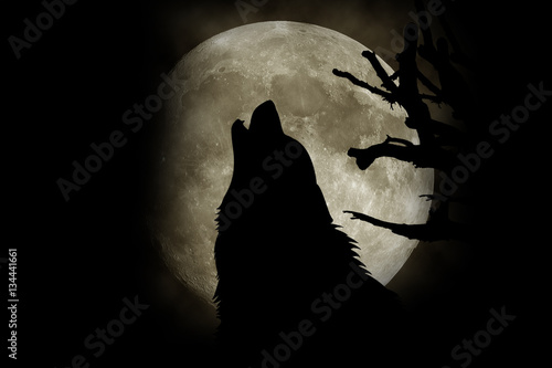 Wolf howling at the moon