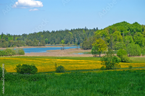 Saftige Frühlingswiesen an den bayrischen Osterseen