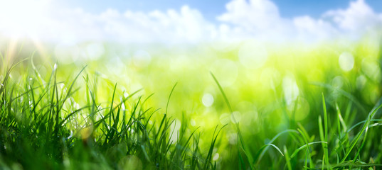 art abstract spring background or summer background with fresh g
