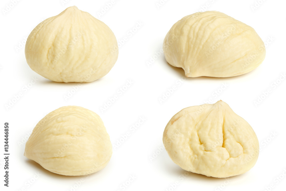 Chestnut on white Chestnut on white