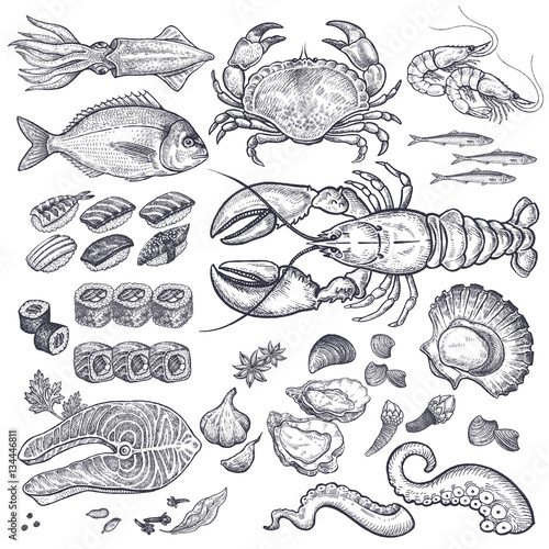 Seafood vector set.