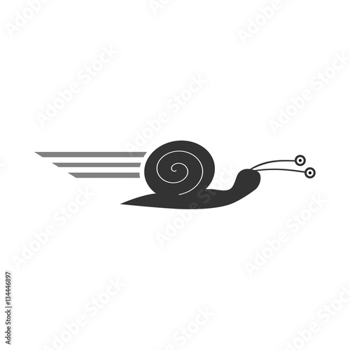 Fast snail logo - silhouette. Isolated vector illustration.