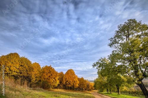 autumn landscape trees against blue sky