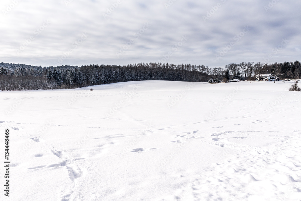 Frost und Schnee entlang des Waldrandes Frost und Schnee entlang des Waldrandes
