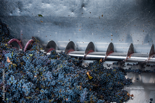 grape processing on the machine