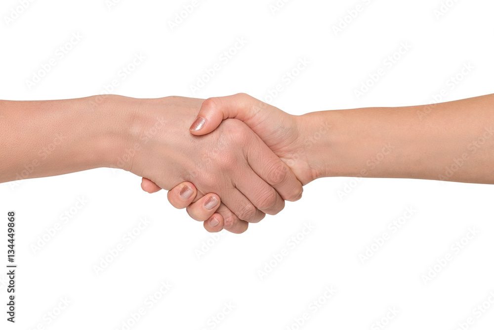 Handshakings isolated on white background Handshakings isolated on white background