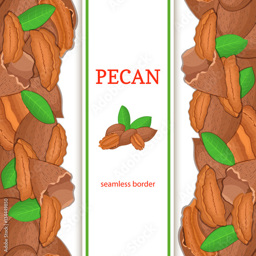 Pecan nut vertical seamless border. Vector illustration with composition of a delicious walnut nut fruit in the shell whole shelled leaves appetizing looking for packaging design healthy food