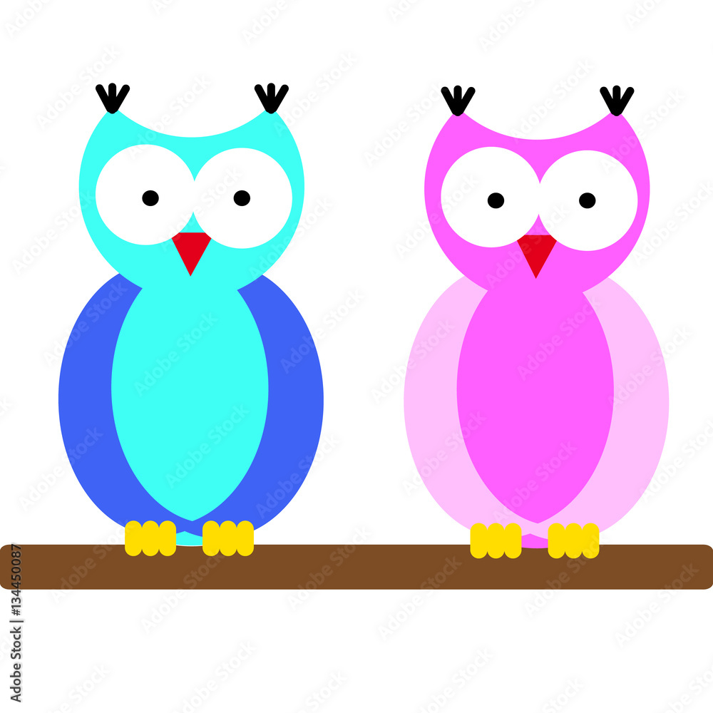 Owls on white background Owls on white background