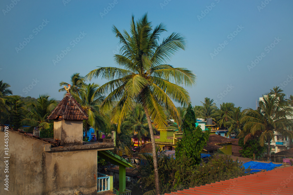 Roofs of houses and palm trees