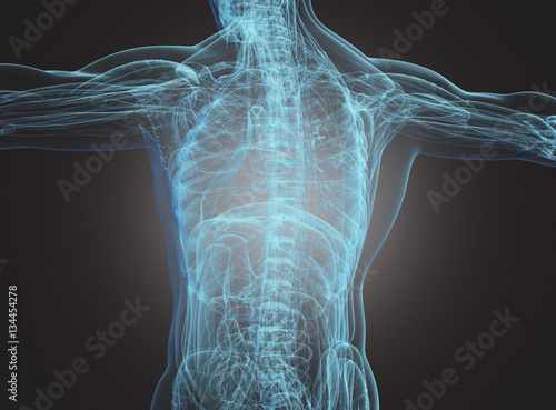 Corpo umano con radiografia spina dorsale e scheletro photo