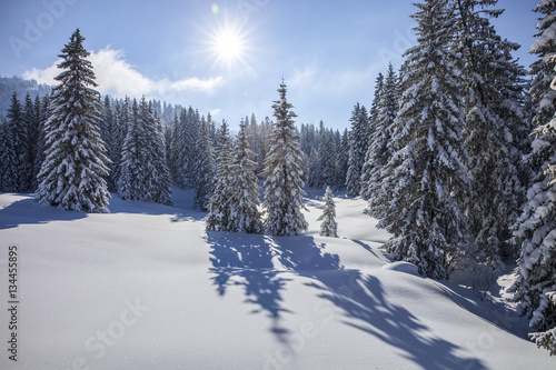 Vorarlberg_Winter_0146