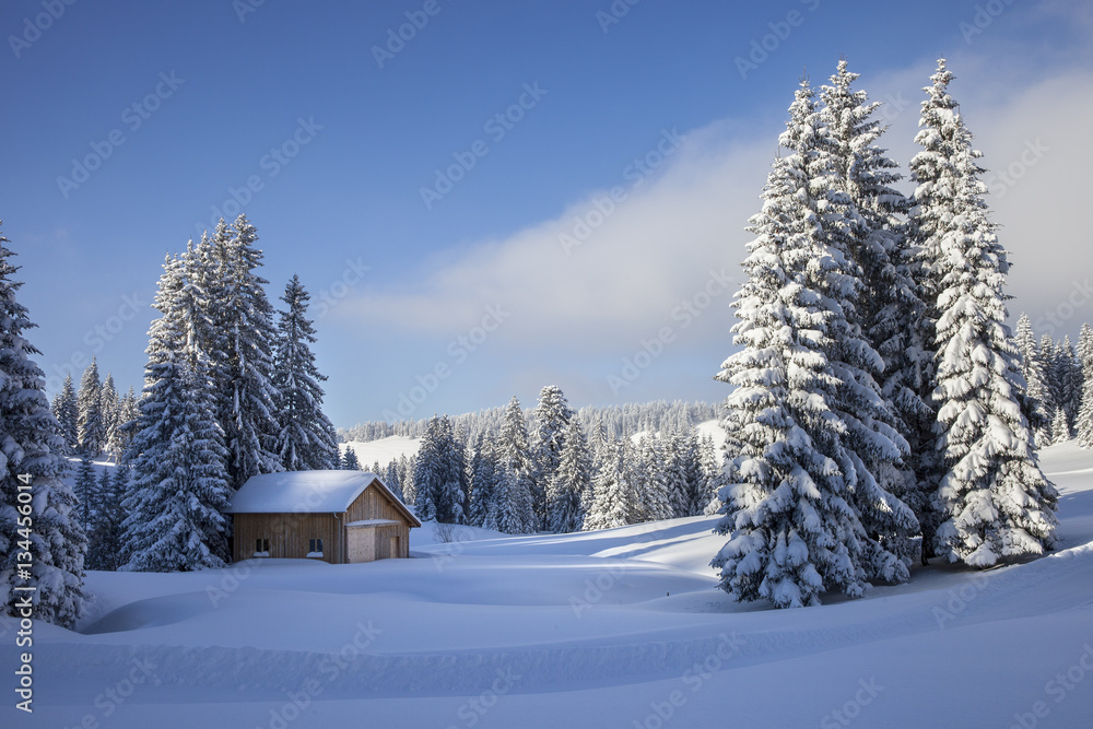 Vorarlberg_Winter_0187