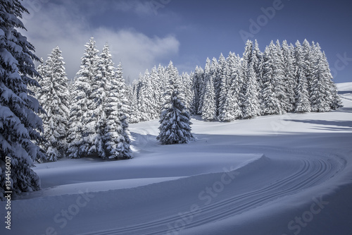 Vorarlberg_Winter_0185 © Dieter Kenz