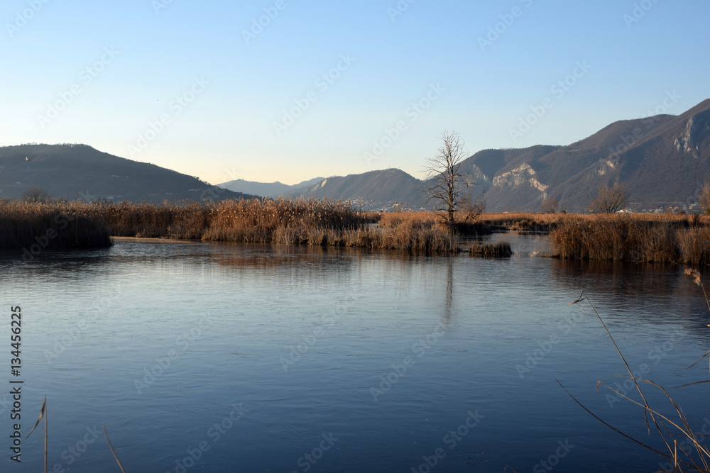 The rare phenomenon of the frozen bogs of Lake Iseo - Brescia -