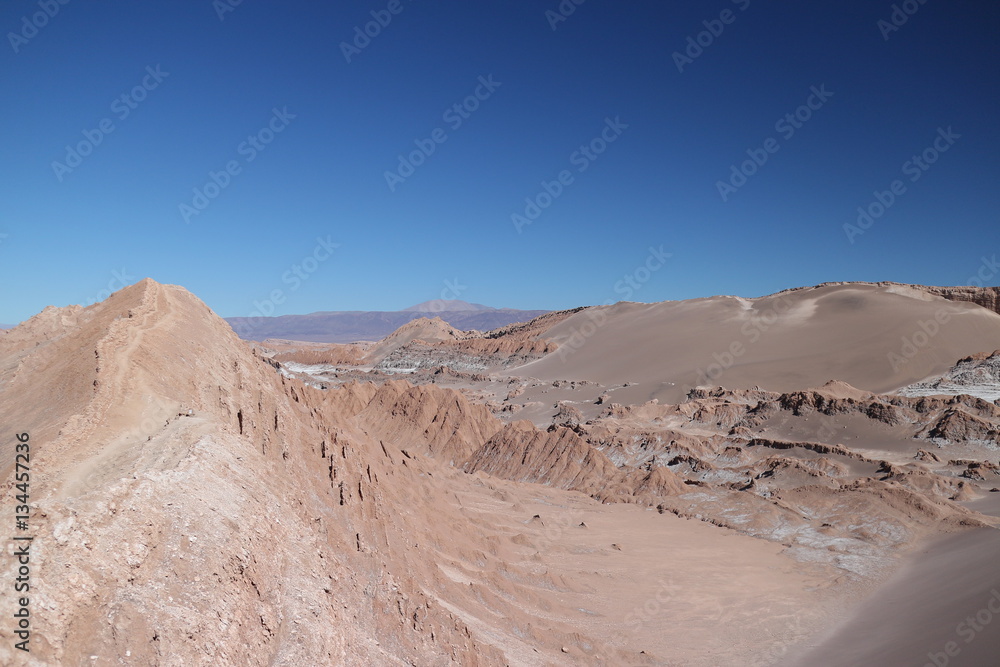 Atacama Wüste / Chile