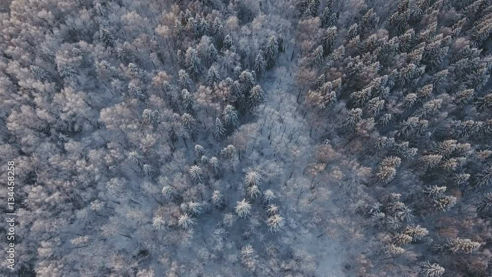 Aerial view of a winter forest. Snowy tree branch in a view of the winter forest. Winter landscape, forest, trees covered with frost, snow. Aerial footage, 4K video. Aerial view of a winter forest. Snowy tree branch in a view of the winter forest. Winter landscape, forest, trees covered with frost, snow. Aerial footage, 4K video.