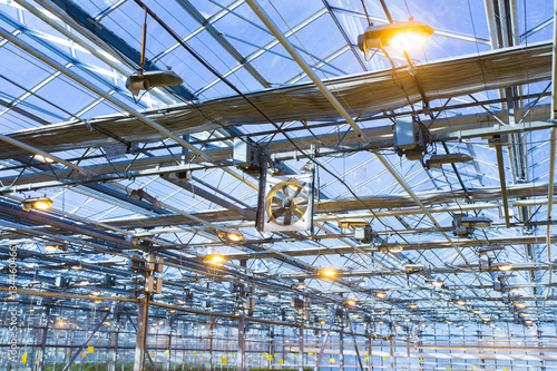 Wallpaper Mural Lamps in the big greenhouse Torontodigital.ca