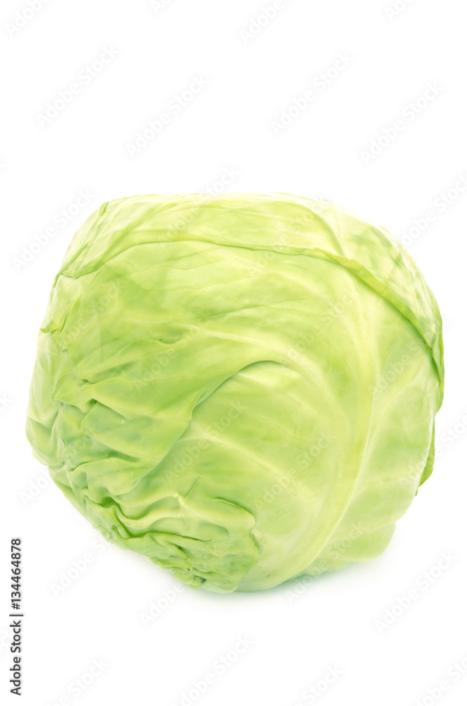 Cabbage Cabbage