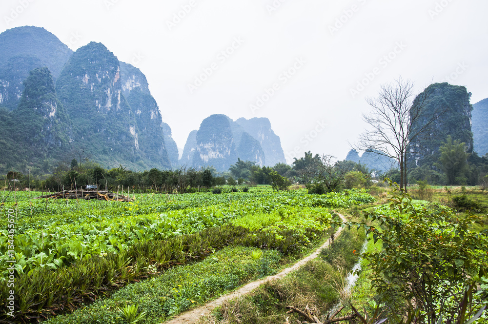 The mountains and countryside scenery 