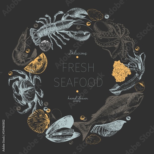 Vector hand drawn seafood logo. Lobster, salmon, crab, shrimp, ocotpus, squid, clams.