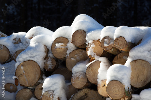 Bilde på lerret Winter