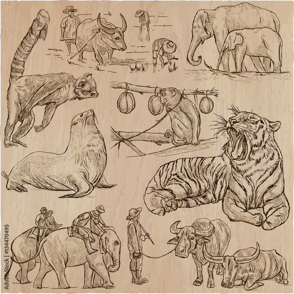 Obraz premium animals - an hand drawn vector pack, collection.