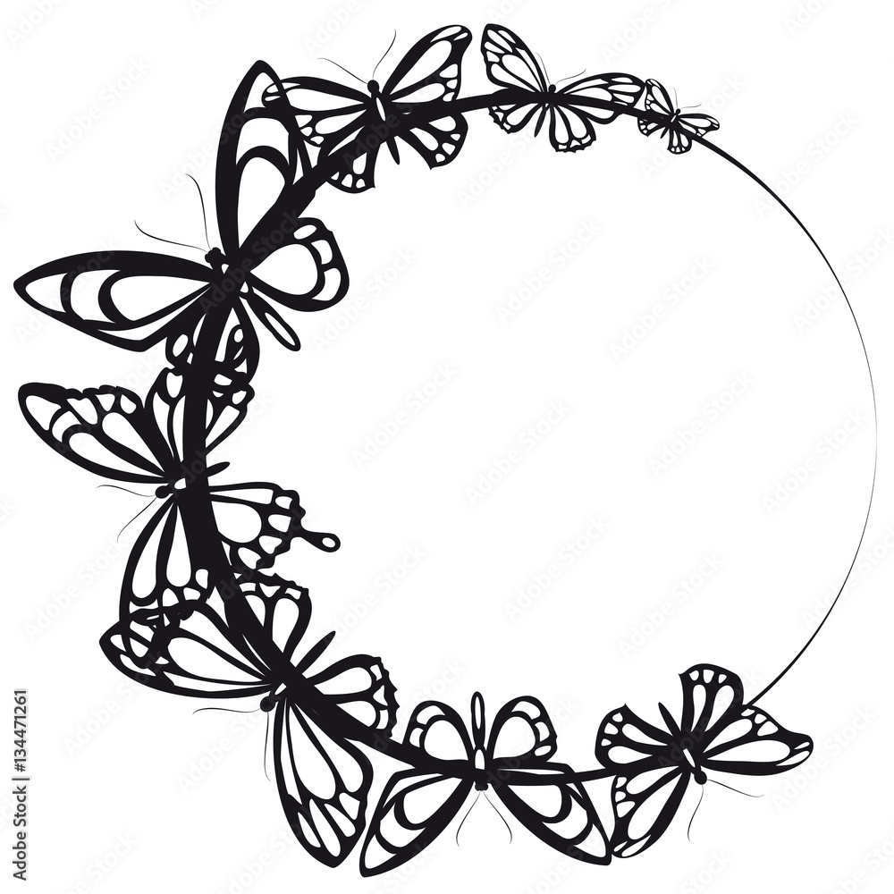 black butterfly, on a white black butterfly, on a white
