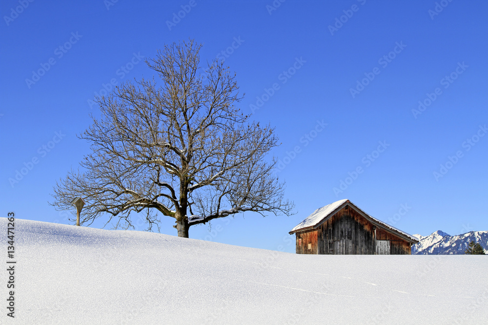Allgäu - Heustadel - Alpe - Baum - Winter - Kreuz - Berge Allgäu - Heustadel - Alpe - Baum - Winter - Kreuz - Berge