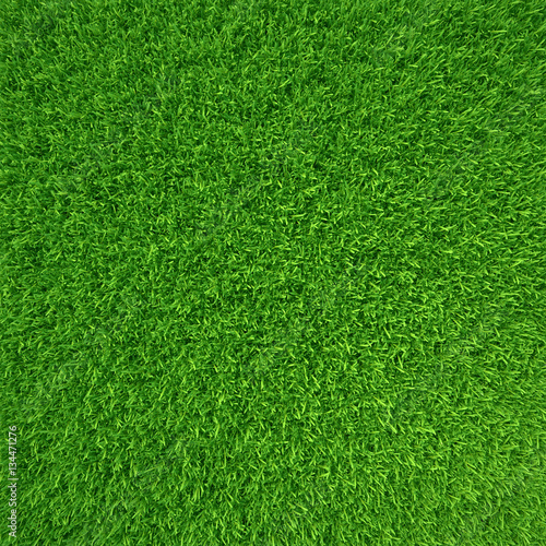 Wallpaper Mural Green grass. natural background texture. high resolution. 3d rendering Torontodigital.ca