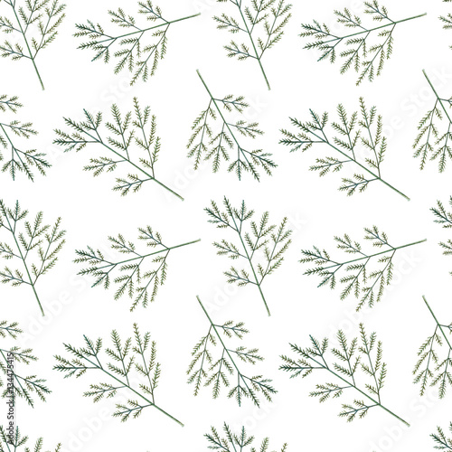 Watercolor seamless doodle floral pattern with carrot leaves on white background. 
