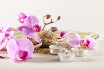 Wandcirkels Toilet Spa sfeer met orchidee en schelpen  © akvafoto2012
