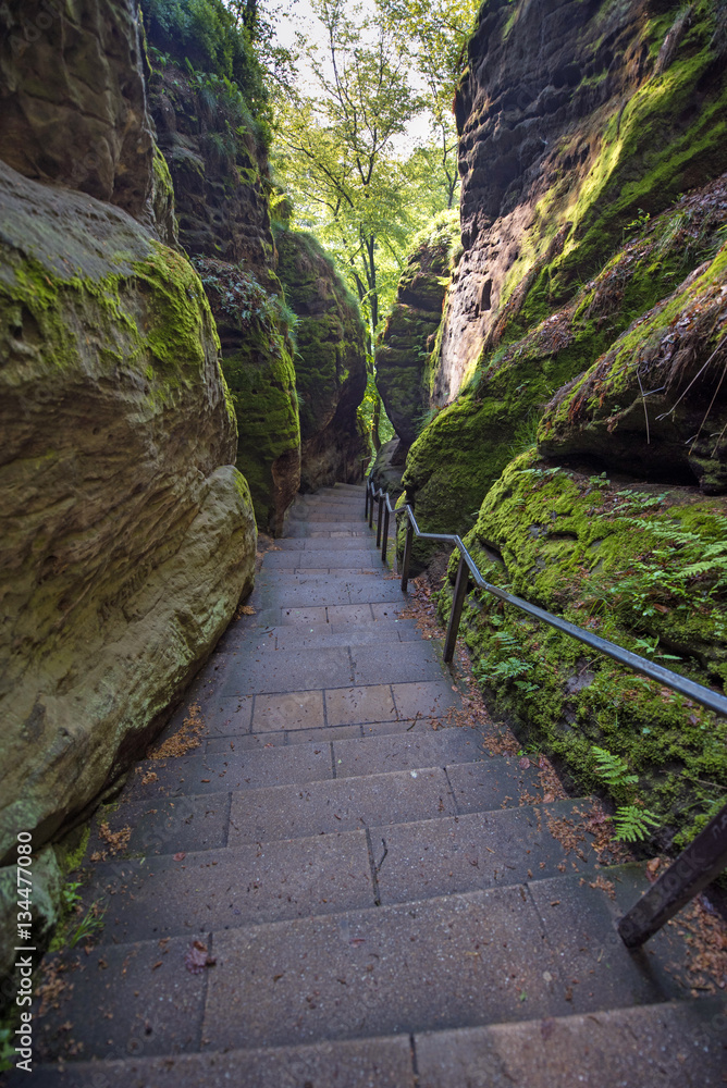 Mystical stairs between rocks near Rathen, Germany, Europe (Sach Mystical stairs between rocks near Rathen, Germany, Europe (Sach