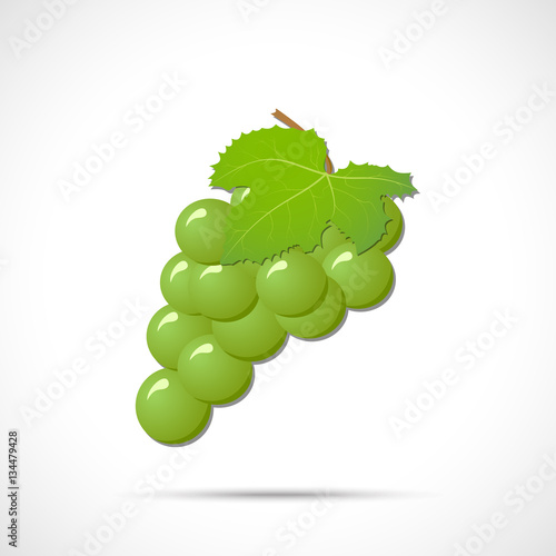 White grapes with leaf isolated on white background. Fruit icon. 