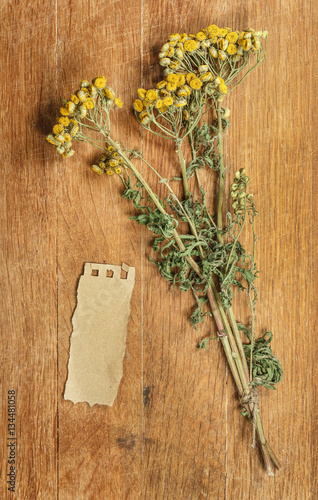 Tansy. Dried herbs. Herbal medicine  phytotherapy medicinal herb