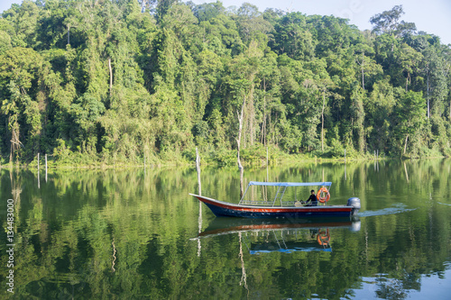View of man-made lake of Royal Belum with nice green scenery and stumped wood.
